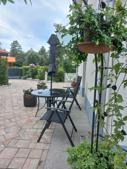 Apartma Majda Appartamento Sežana Esterno foto